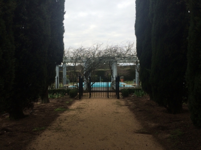 Black wrought iron pool fence and pedestrian gate Black wrought iron pool fence and pedestrian gate