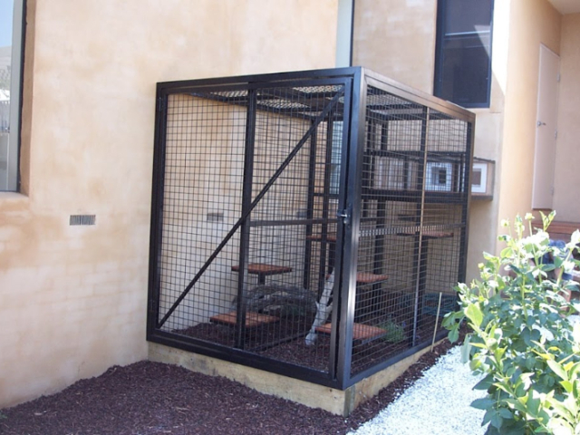 Cat Enclosure Cat Enclosure