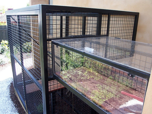 Cat Enclosure Cat Enclosure
