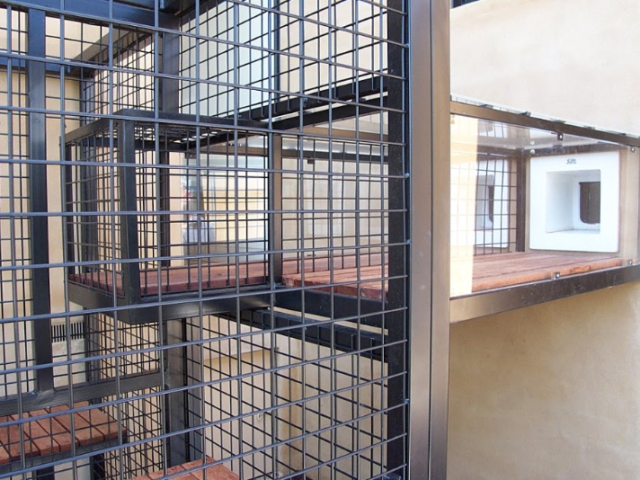 Cat Enclosure Cat Enclosure