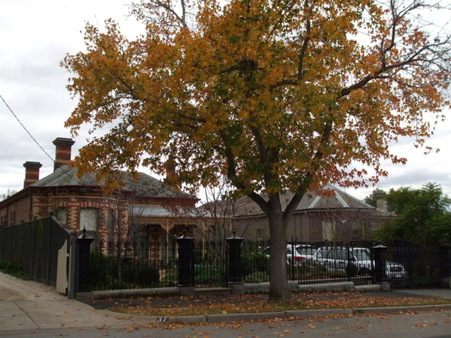 Black wrought iron fence and gate Black wrought iron fence and gate
